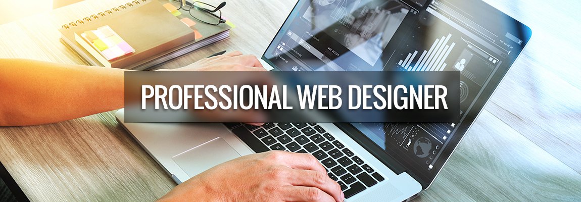 professional web designer